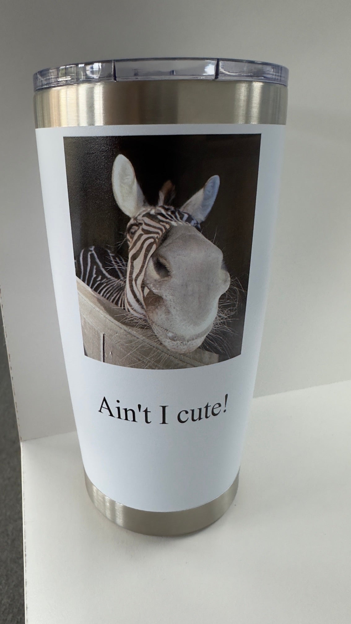 Ain't I Cute Zebra Picture 20 oz Tumbler